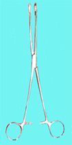 Sponge Forceps Straight Serrated 9 1/2 (Instruments - Forceps) - Img 1