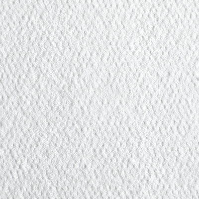 Pacific Blue Select™ Air-laid Bonded Cellulose Washcloth, 1 Pack of 55 (Washcloths) - Img 2