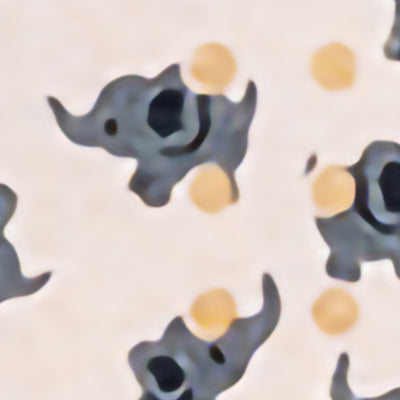 Patch™ Kids (Elephant Design) Adhesive Strip, 3/4 x 3 Inch, 1 Case of 24 (General Wound Care) - Img 10