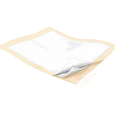 Wings Plus Underpads, Disposable, Heavy Absorbency, Beige, 23 X 36 Inch, 1 Case of 100 (Underpads) - Img 2