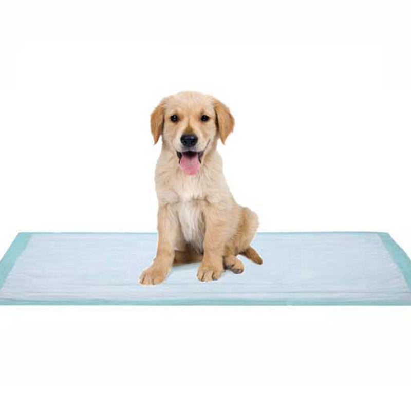 Dukal Fluff Underpad, 17 x 24 Inch, 1 Box of 100 (Underpads) - Img 5