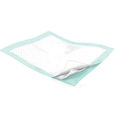 Wings Plus Underpads, Disposable, Heavy Absorbency, Beige, 36 X 36 Inch, 1 Case of 48 (Underpads) - Img 2