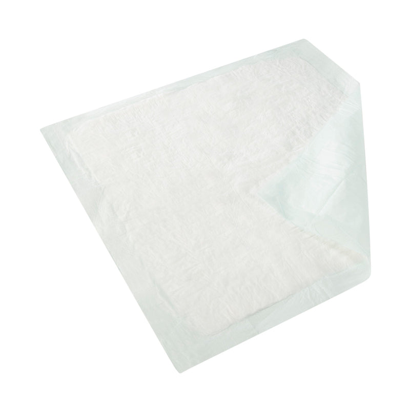 Wings Plus Underpads, Disposable, Heavy Absorbency, Beige, 30 X 30 Inch, 1 Case of 100 (Underpads) - Img 2