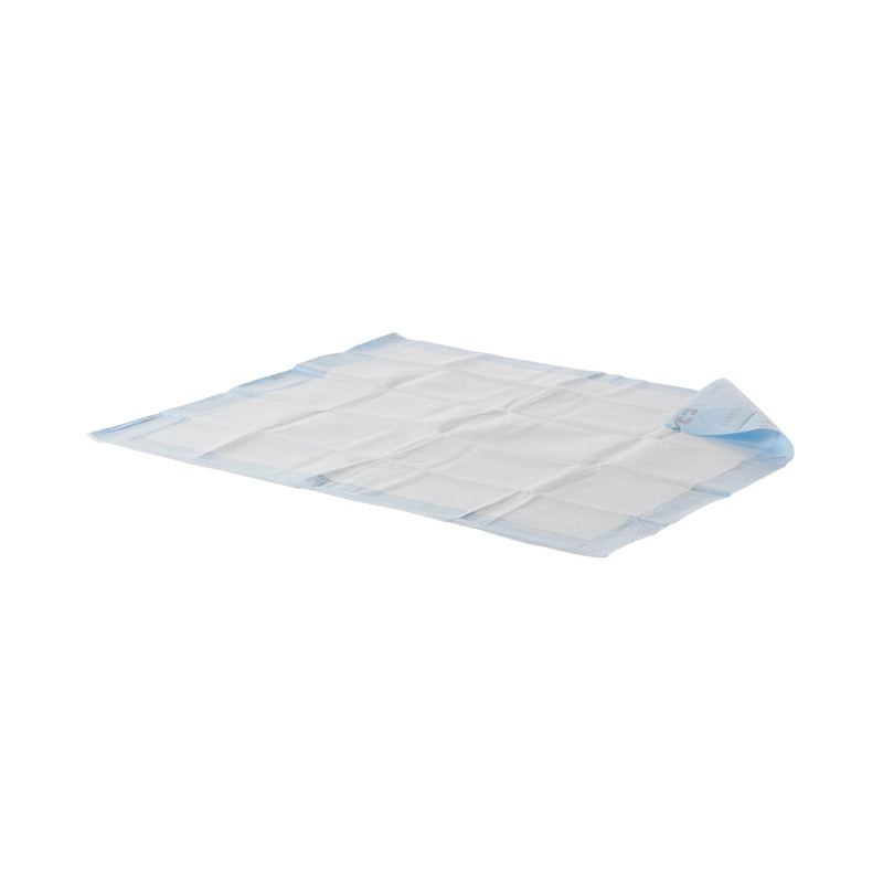 Wings™ Quilted Premium Strength Maximum Absorbency Positioning Underpad, 30 x 36 Inch, 1 Bag of 10 (Underpads) - Img 1