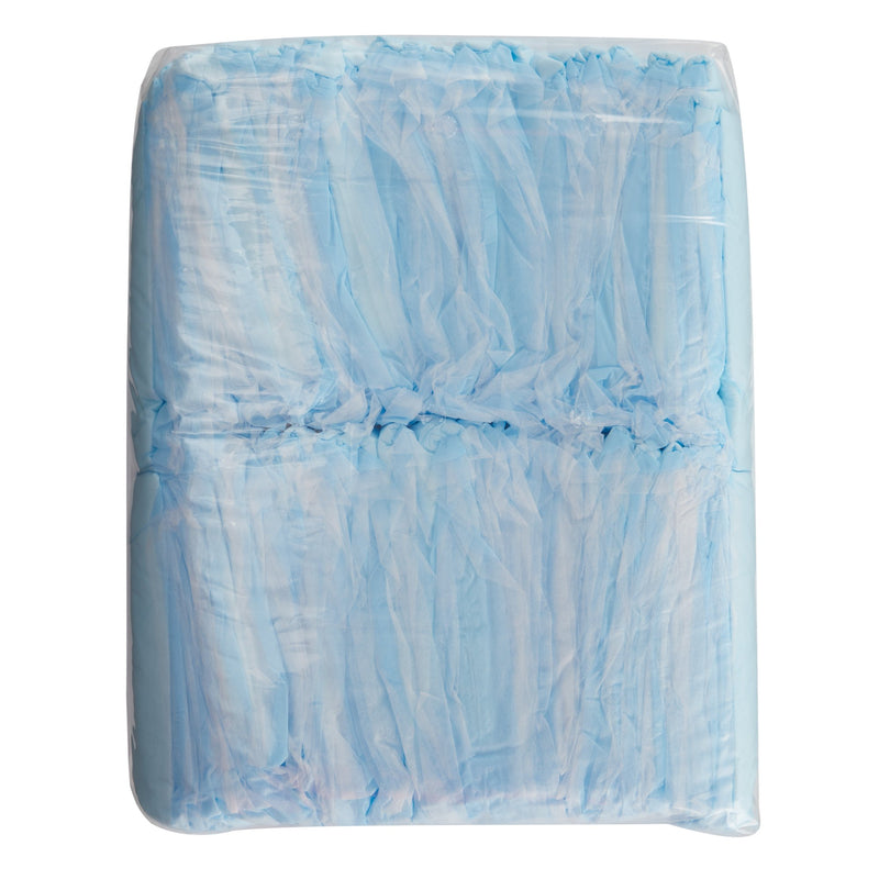 UNDERPAD, STD BLU 17X24" (50/BG 6BG/CS) (Underpads) - Img 1