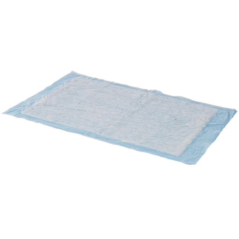 Simplicity Basic Underpad, Disposable, Light Absorbency, 23 X 24 Inch, 1 Case of 200 (Underpads) - Img 1