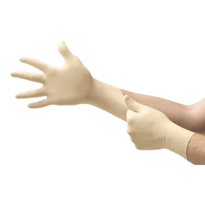 Evolution One® Latex Exam Glove, Small, White, 1 Case of 1000 () - Img 2