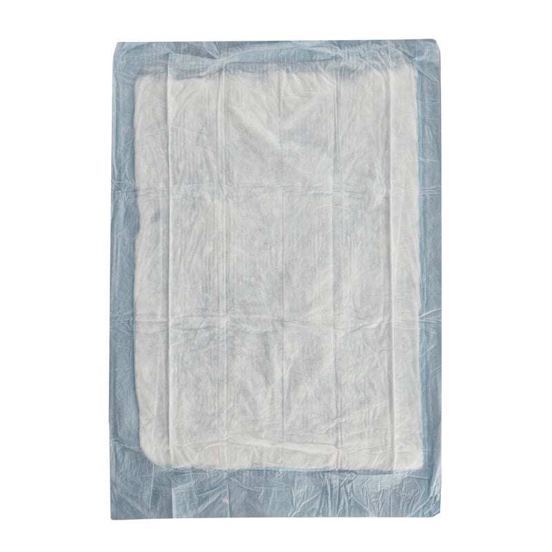 UNDERPAD, STD BLU 17X24" (50/BG 6BG/CS) (Underpads) - Img 2